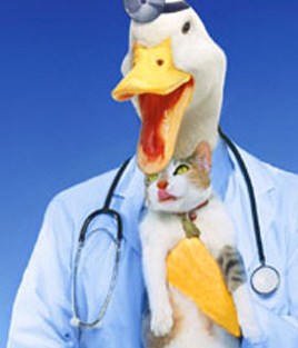 quack-doctor
