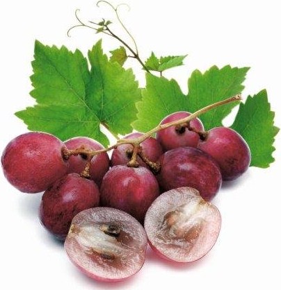 grape-skin-grape-seed